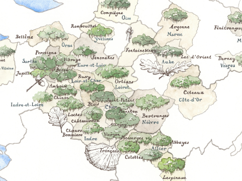 Illustration prestation cartographies domaines chasse et forêts - cartes parcellaires